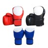 Boxe & Sports De Combat